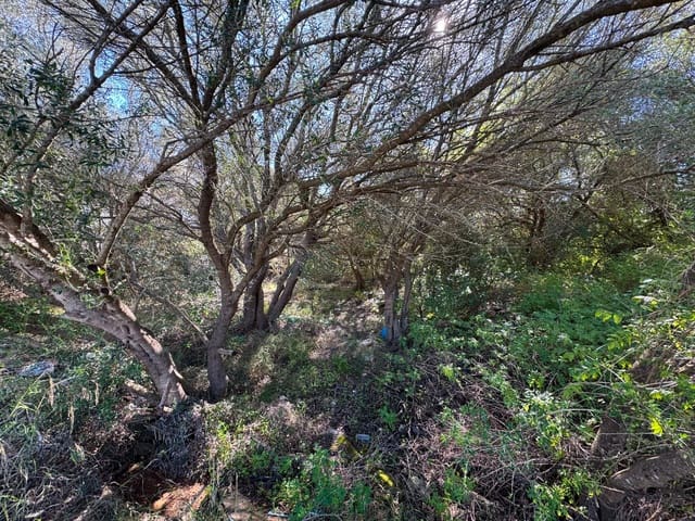 Building Plot for sale in Sa Pobla - € 375,000 (Ref: 9357872)