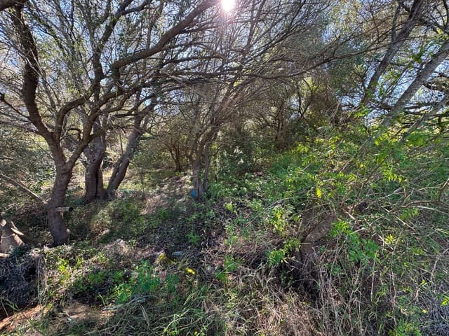 Building Plot for sale in Sa Pobla - € 375,000 (Ref: 9357872)