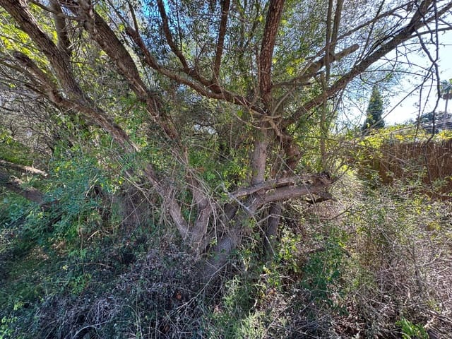 Building Plot for sale in Sa Pobla - € 375,000 (Ref: 9357872)