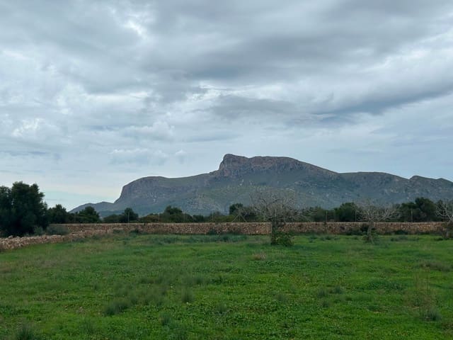 2 soveværelse Finca/Landehus til salg i Petra med garage - € 850.000 (Ref: 9399822)