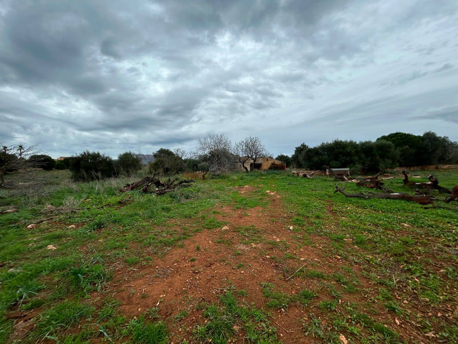 2 soverom Finca/Herregård til salgs i Petra med garasje - € 850 000 (Ref: 9399822)