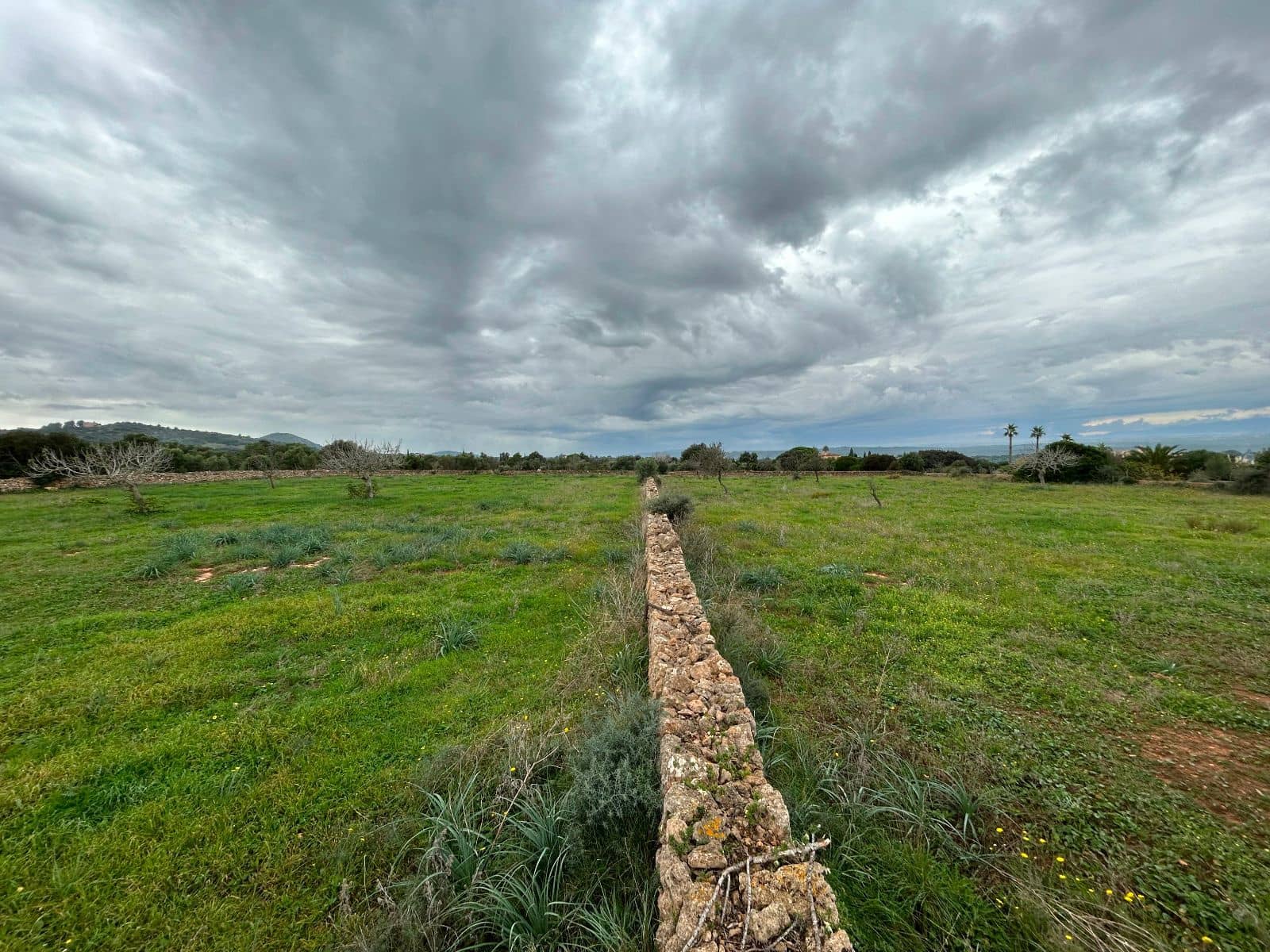 2 soverom Finca/Herregård til salgs i Petra med garasje - € 850 000 (Ref: 9399822)