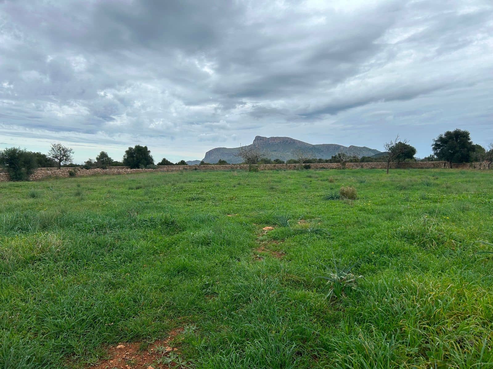 2 soverom Finca/Herregård til salgs i Petra med garasje - € 850 000 (Ref: 9399822)