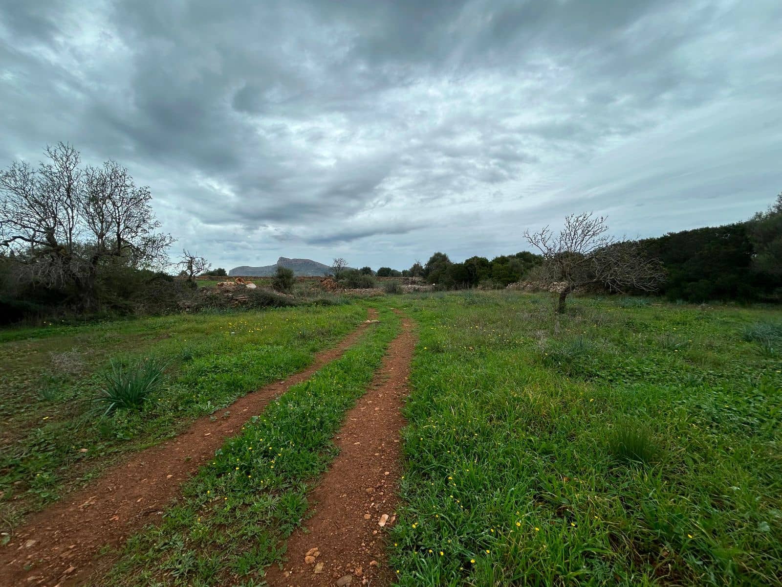 2 soverom Finca/Herregård til salgs i Petra med garasje - € 850 000 (Ref: 9399822)