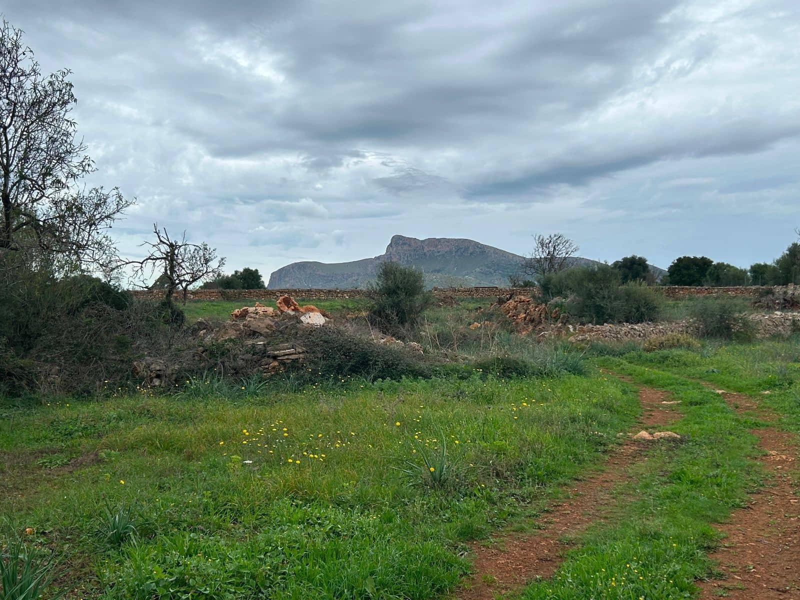 2 soverom Finca/Herregård til salgs i Petra med garasje - € 850 000 (Ref: 9399822)