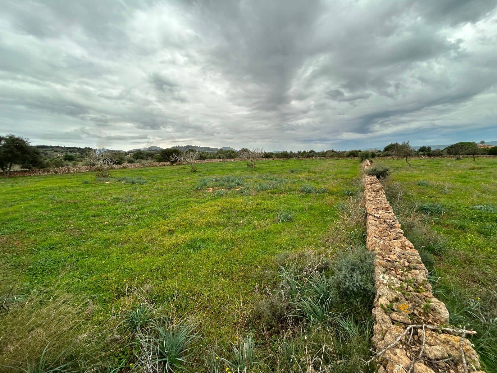 2 soverom Finca/Herregård til salgs i Petra med garasje - € 850 000 (Ref: 9399822)