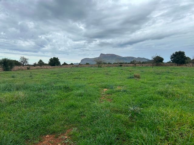 2 soveværelse Finca/Landehus til salg i Petra med garage - € 850.000 (Ref: 9399822)