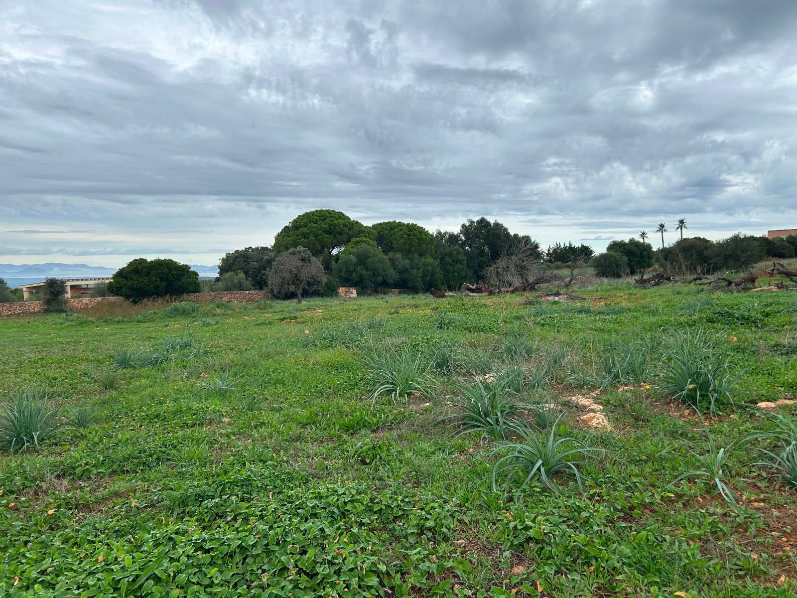 2 soverom Finca/Herregård til salgs i Petra med garasje - € 850 000 (Ref: 9399822)