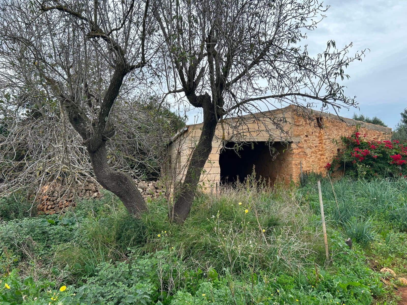 2 soverom Finca/Herregård til salgs i Petra med garasje - € 850 000 (Ref: 9399822)