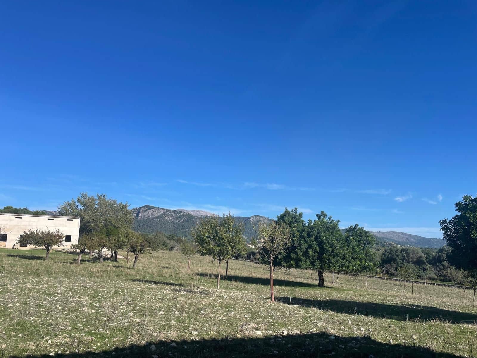 5 camera da letto Finca/Casa di Campagna in vendita in Moscari con piscina garage - 795.000 € (Rif: 9402584)