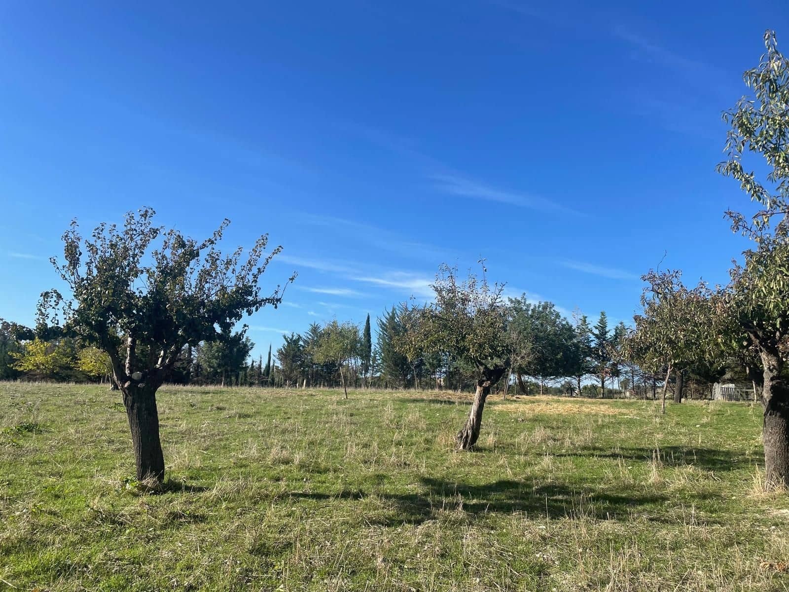 5 camera da letto Finca/Casa di Campagna in vendita in Moscari con piscina garage - 795.000 € (Rif: 9402584)