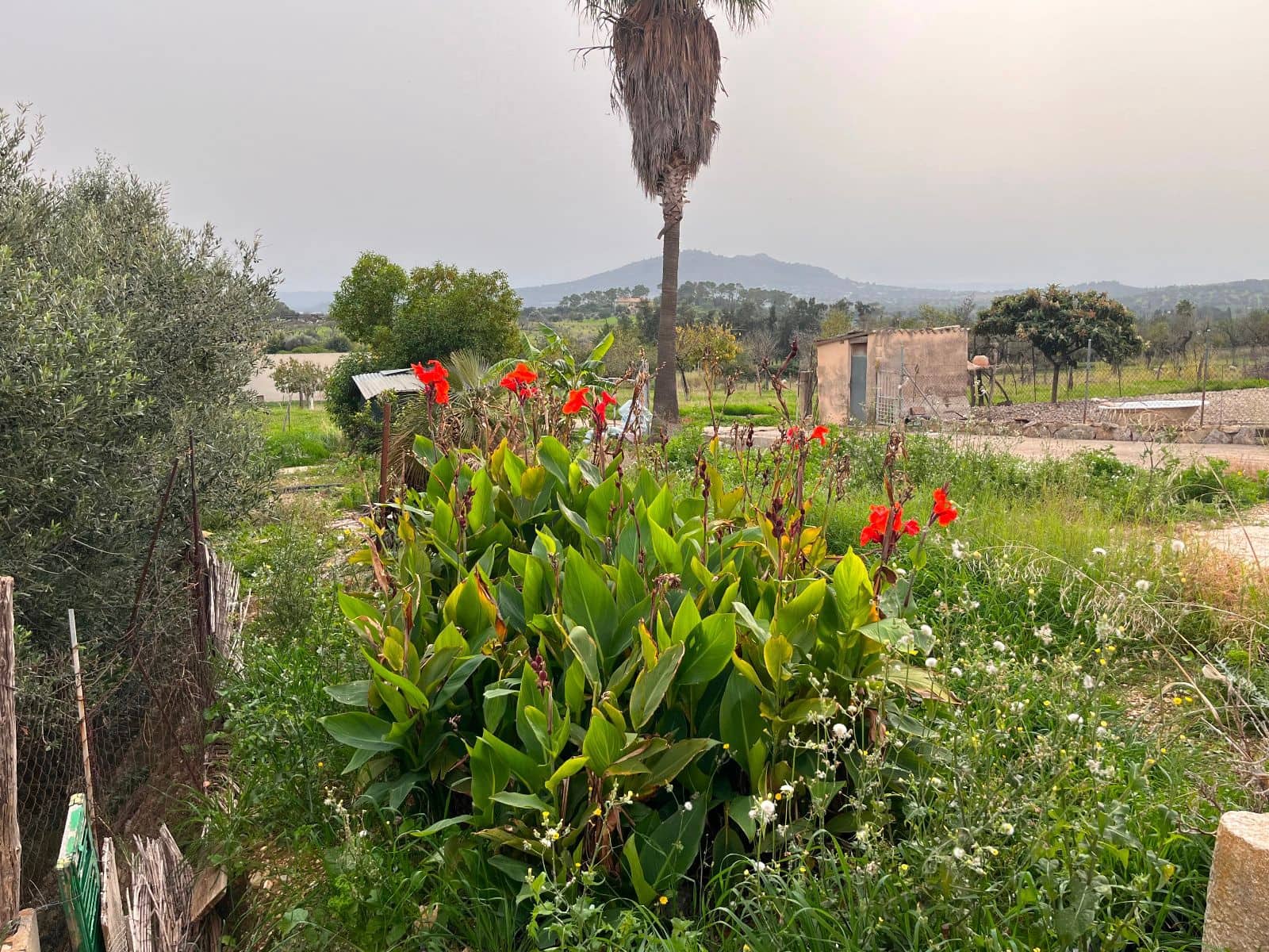 5 camera da letto Finca/Casa di Campagna in vendita in Moscari con piscina garage - 795.000 € (Rif: 9402584)