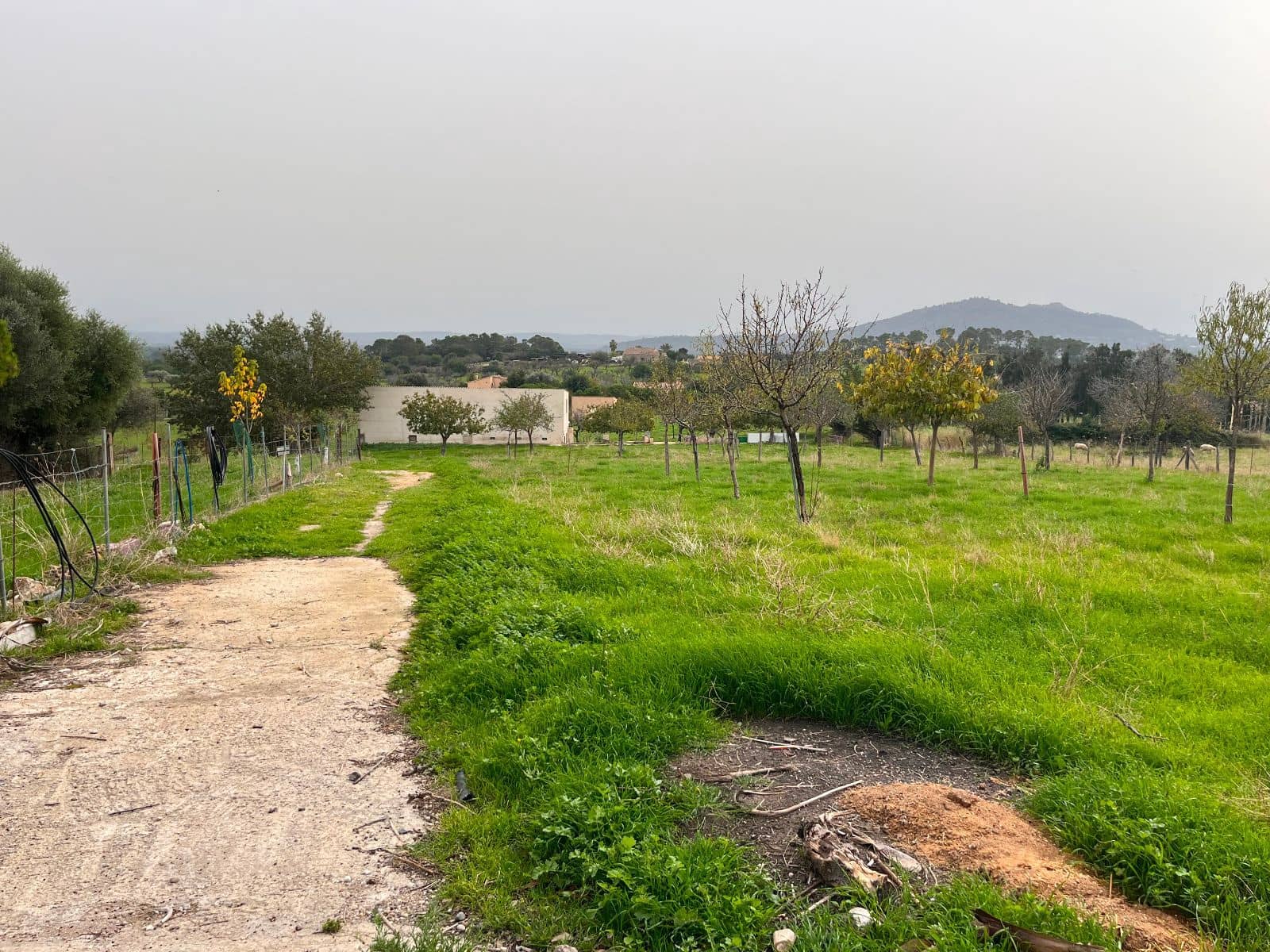 5 camera da letto Finca/Casa di Campagna in vendita in Moscari con piscina garage - 795.000 € (Rif: 9402584)