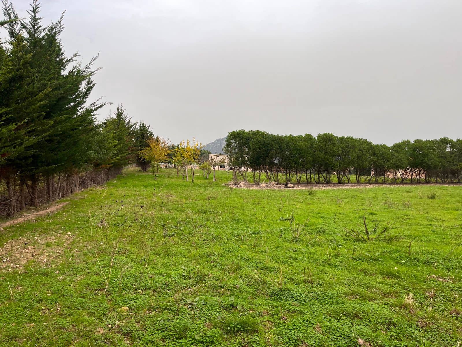 5 camera da letto Finca/Casa di Campagna in vendita in Moscari con piscina garage - 795.000 € (Rif: 9402584)