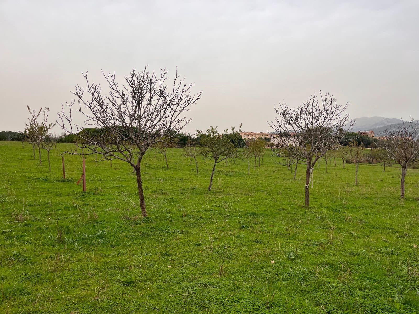 5 camera da letto Finca/Casa di Campagna in vendita in Moscari con piscina garage - 795.000 € (Rif: 9402584)