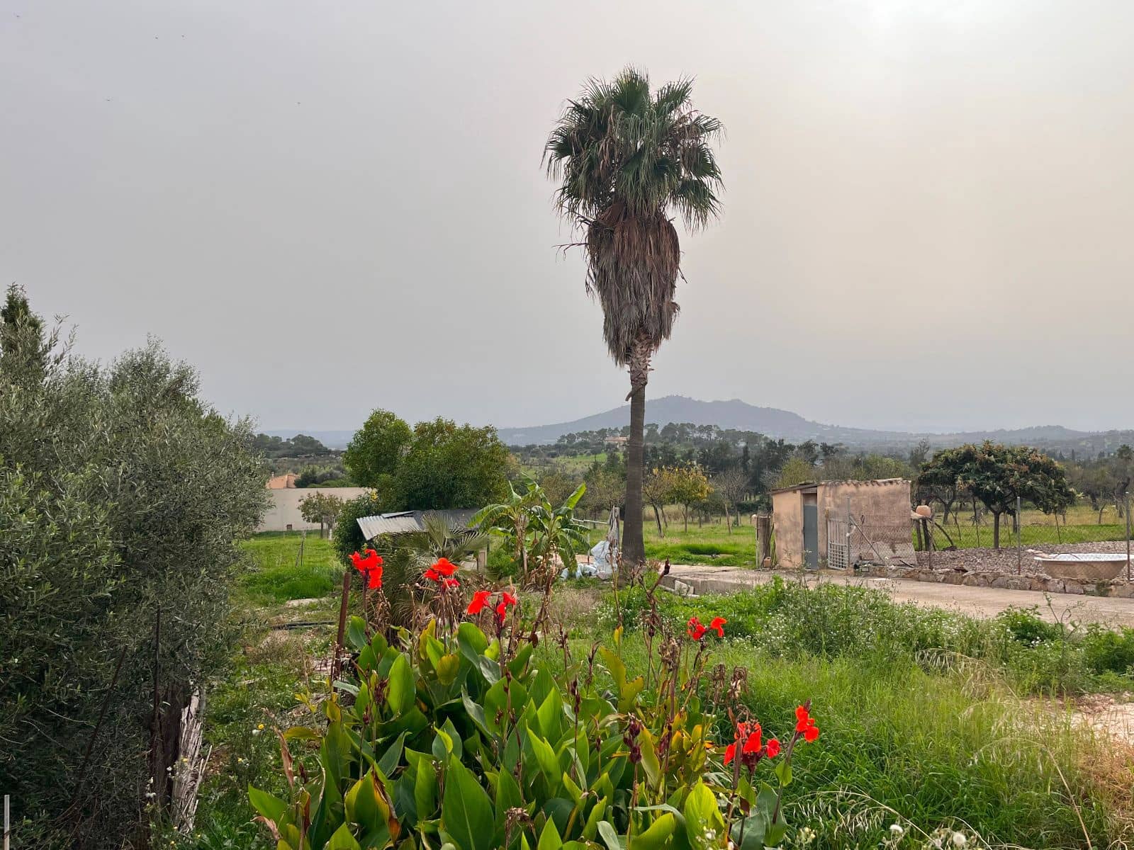 5 camera da letto Finca/Casa di Campagna in vendita in Moscari con piscina garage - 795.000 € (Rif: 9402584)