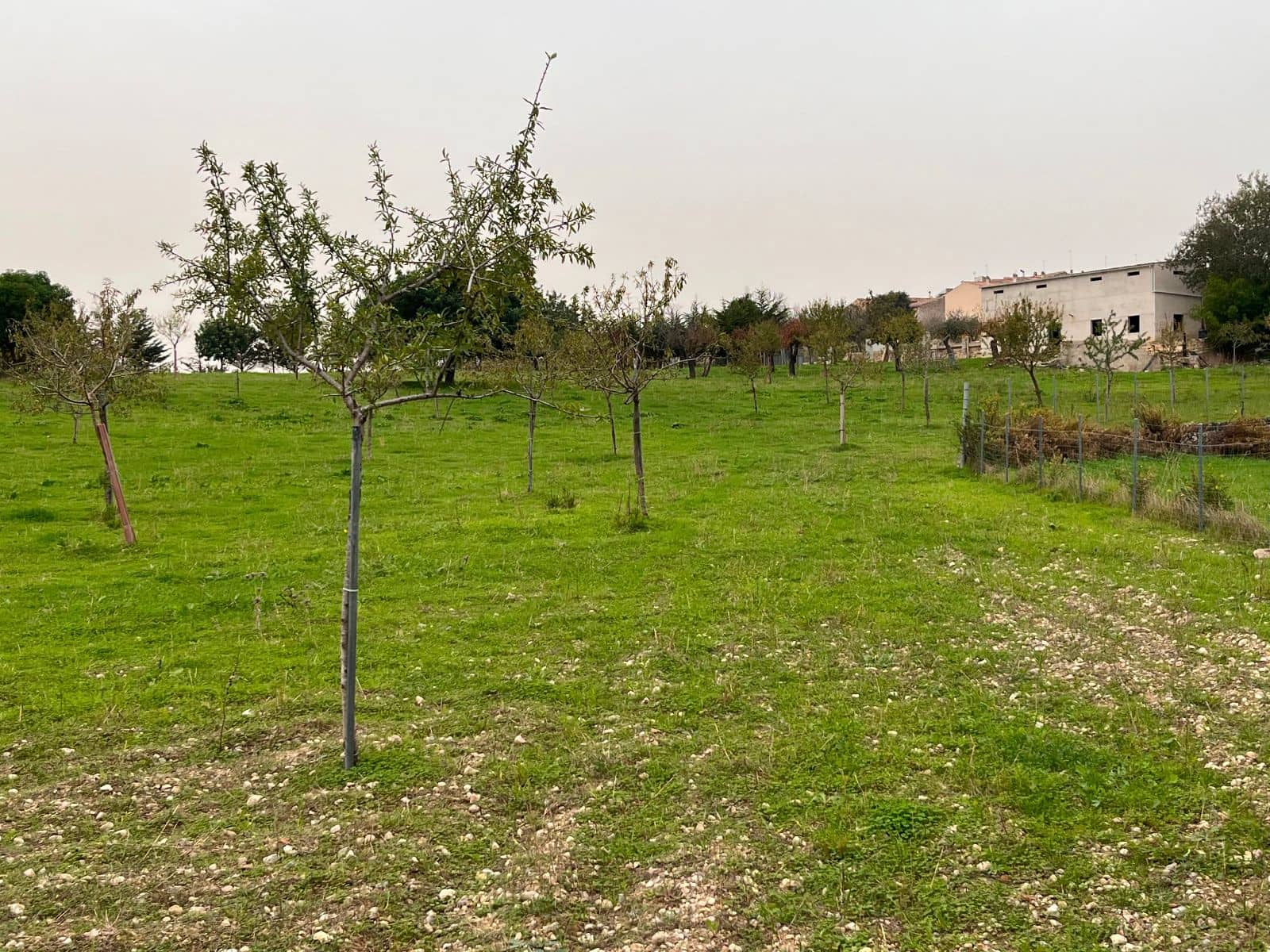 5 camera da letto Finca/Casa di Campagna in vendita in Moscari con piscina garage - 795.000 € (Rif: 9402584)