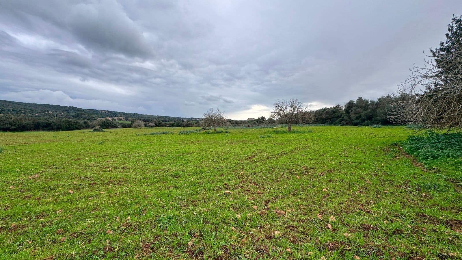 6 soveværelse Finca/Landehus til salg i Manacor med garage - € 2.200.000 (Ref: 9462807)