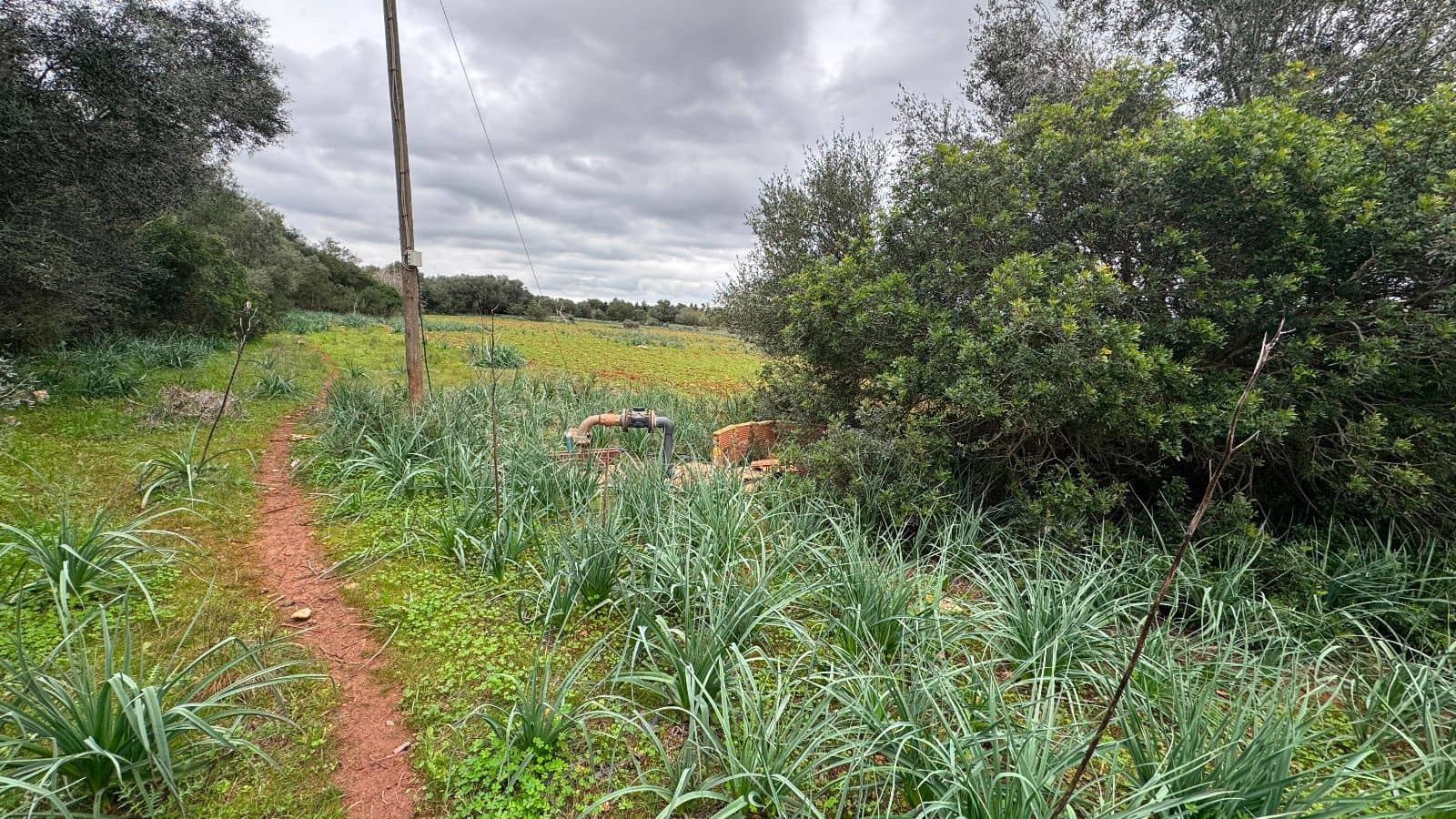 6 soveværelse Finca/Landehus til salg i Manacor med garage - € 2.200.000 (Ref: 9462807)