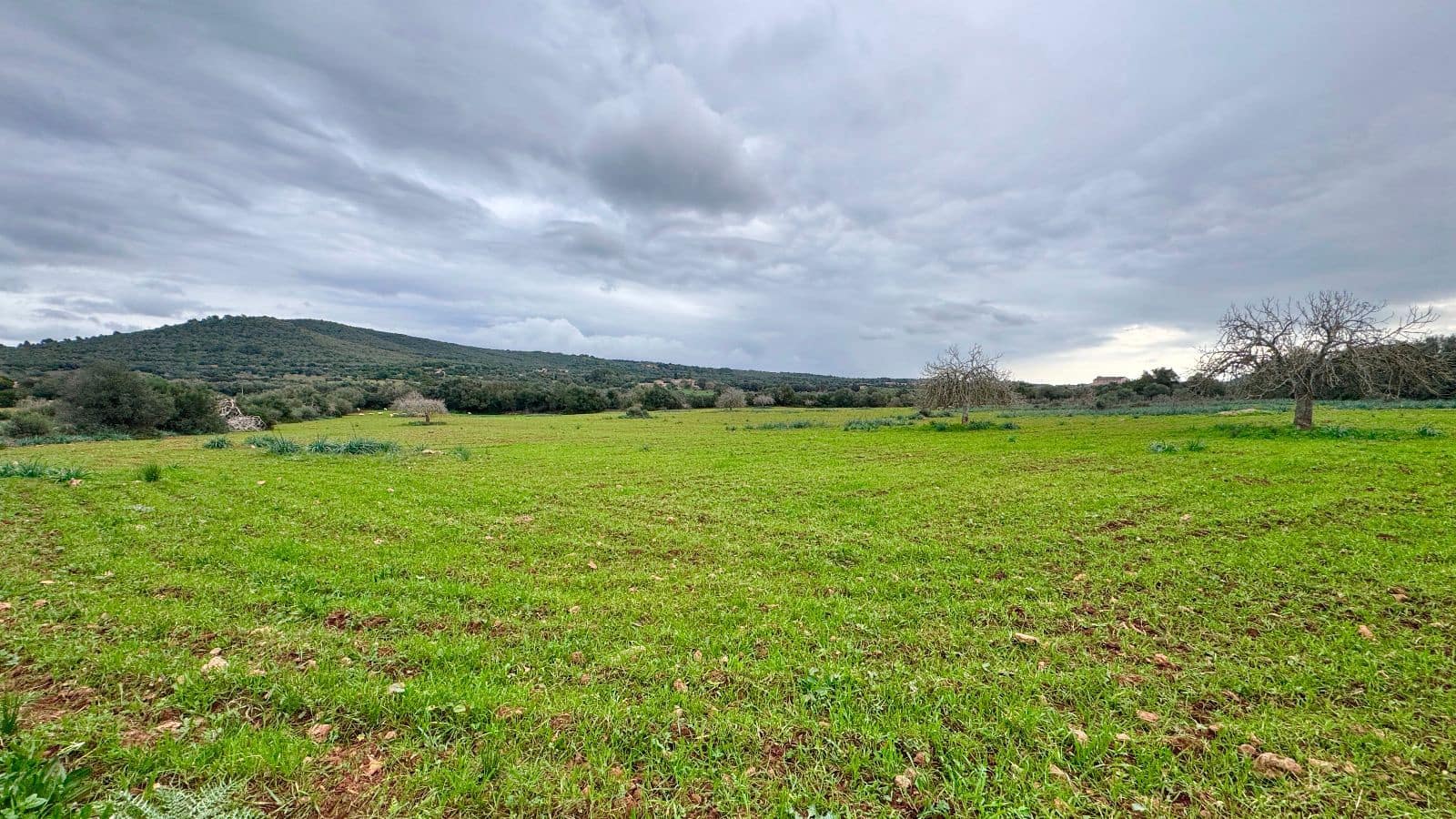 6 soveværelse Finca/Landehus til salg i Manacor med garage - € 2.200.000 (Ref: 9462807)