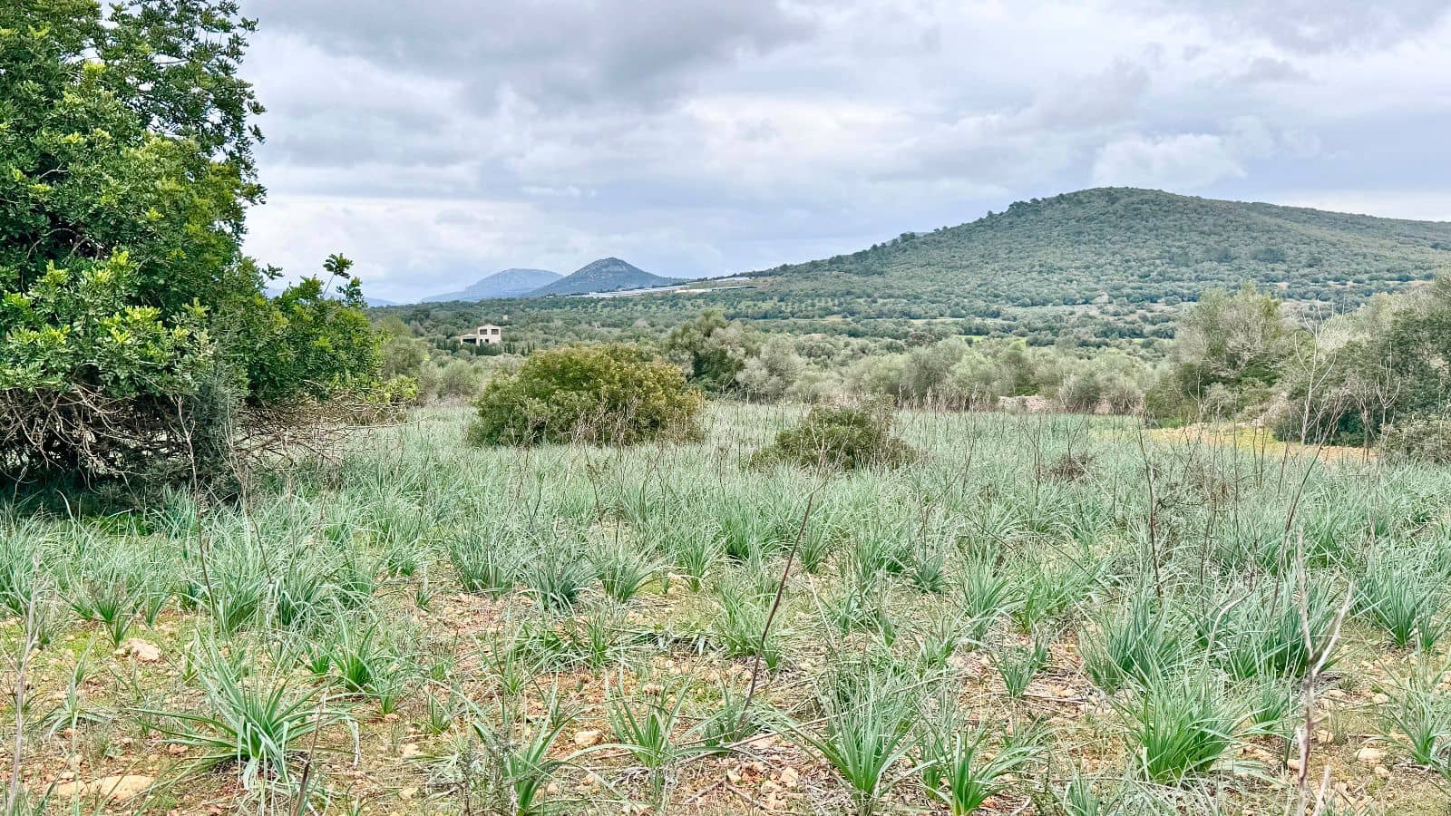 6 soveværelse Finca/Landehus til salg i Manacor med garage - € 2.200.000 (Ref: 9462807)