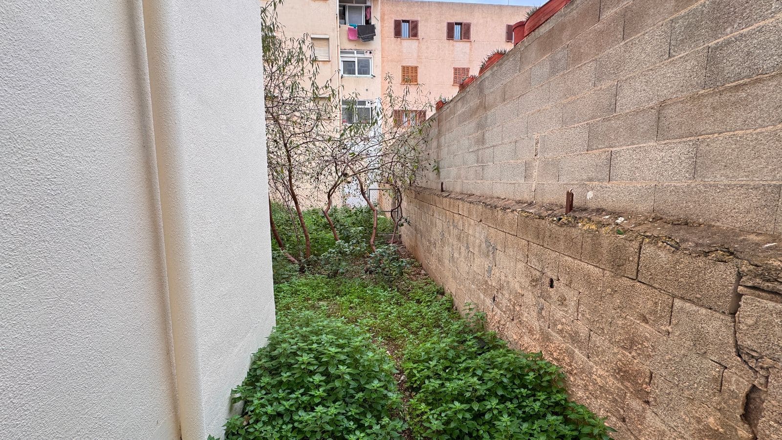 Commercial for sale in Palma de Mallorca - € 245,000 (Ref: 9487146)