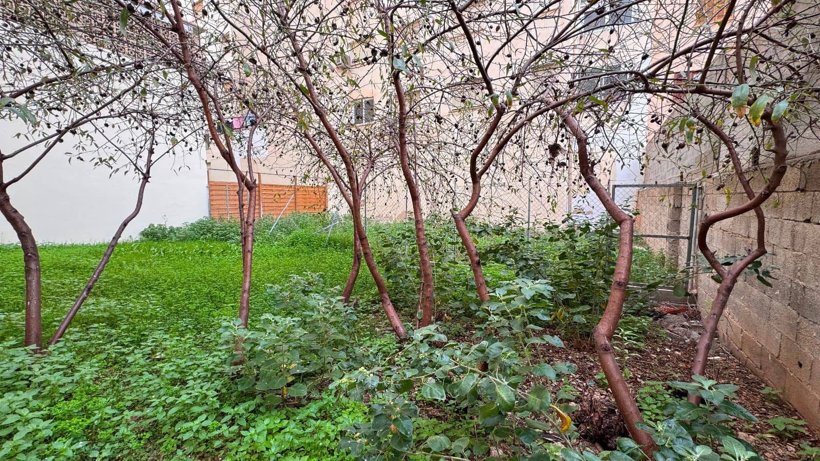 Commercial for sale in Palma de Mallorca - € 245,000 (Ref: 9487146)