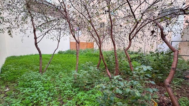 Kommersiell til salgs i El Viver, Palma de Mallorca - € 245 000 (Ref: 9487146)