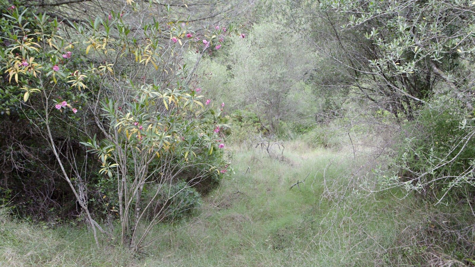 Building Plot for sale in Mal Pas-Bon Aire - € 213,000 (Ref: 9523108)