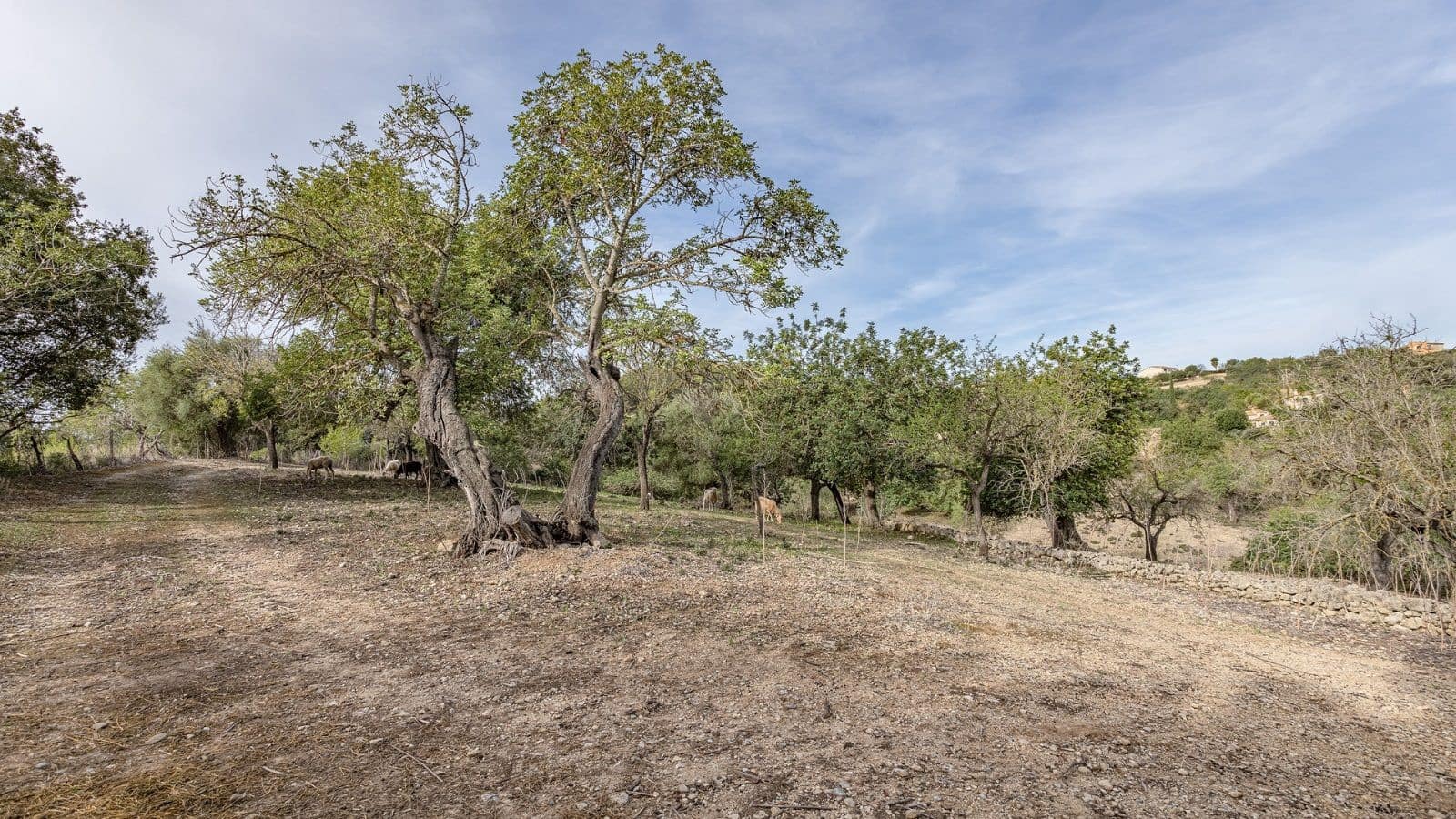 1 bedroom Finca/Country House for sale in Ullaro - € 235,000 (Ref: 9523109)