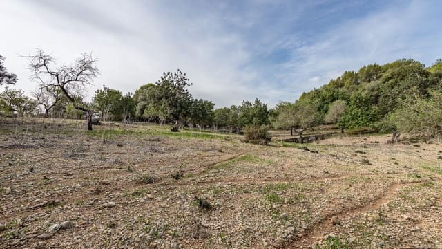 1 soverom Finca/Herregård til salgs i Ullaro, Campanet - € 235 000 (Ref: 9523109)