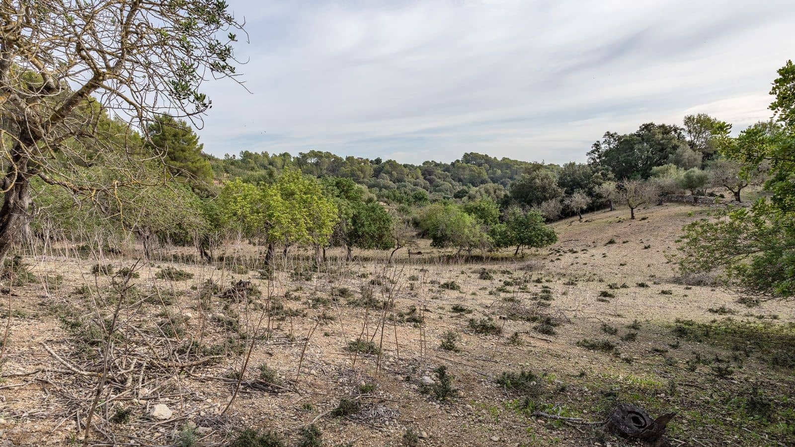 1 bedroom Finca/Country House for sale in Ullaro - € 235,000 (Ref: 9523109)