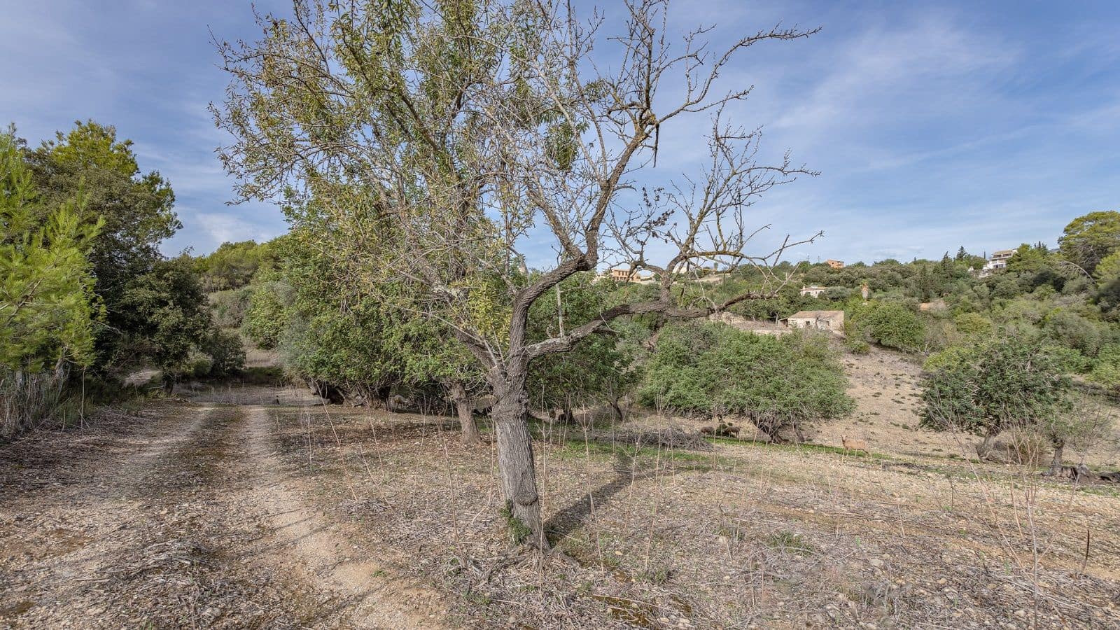 1 bedroom Finca/Country House for sale in Ullaro - € 235,000 (Ref: 9523109)