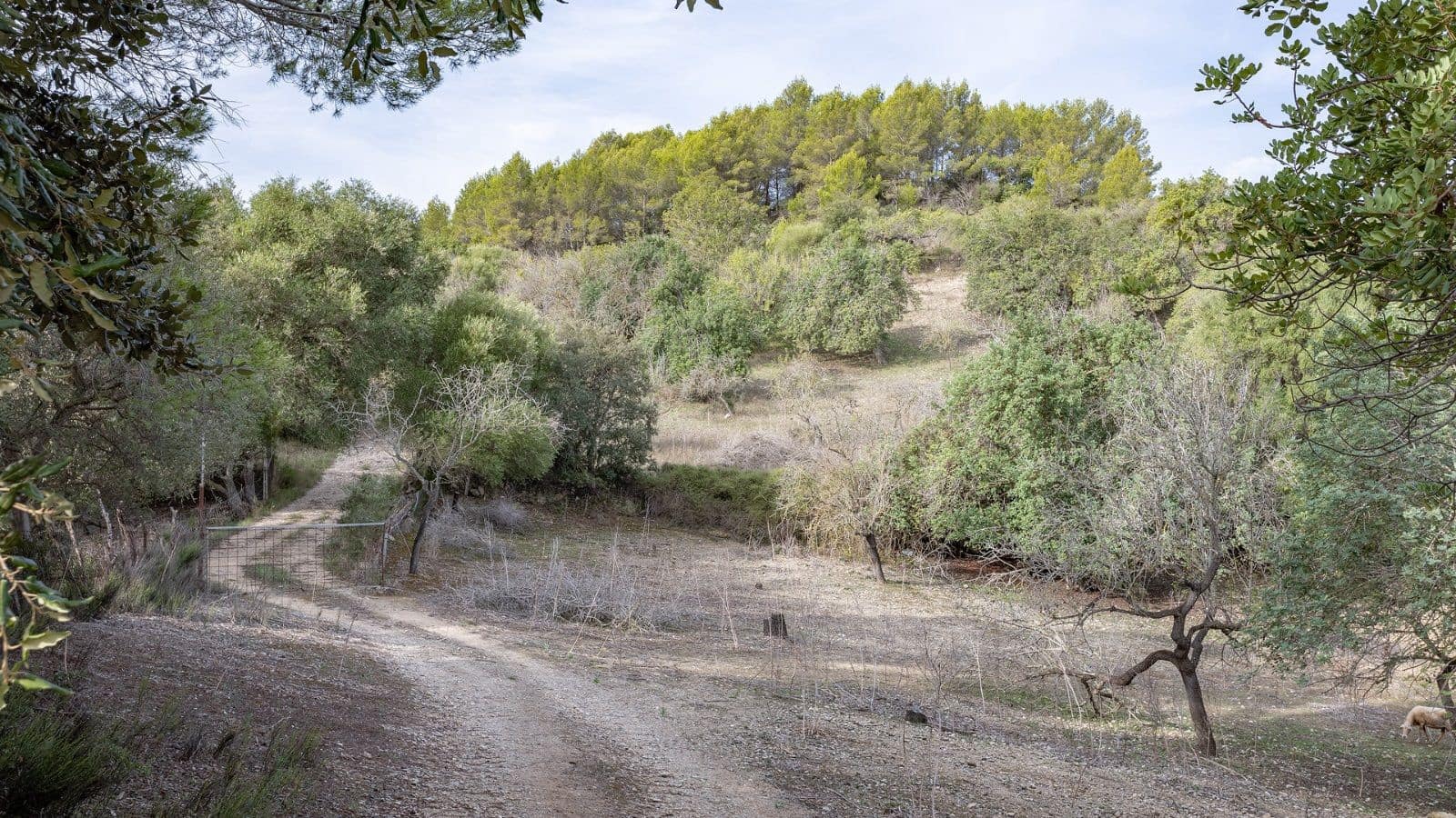 1 bedroom Finca/Country House for sale in Ullaro - € 235,000 (Ref: 9523109)