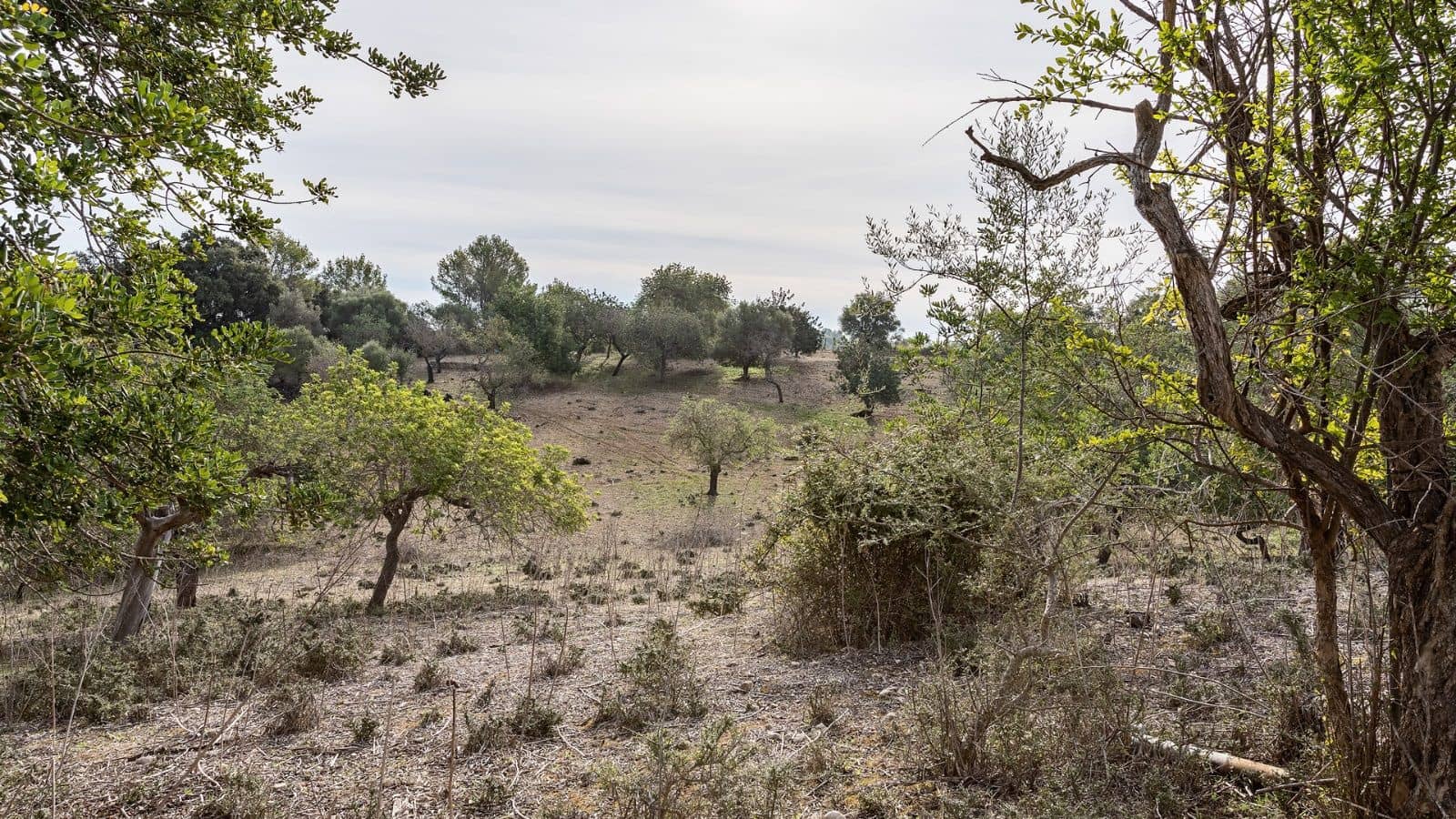 1 bedroom Finca/Country House for sale in Ullaro - € 235,000 (Ref: 9523109)