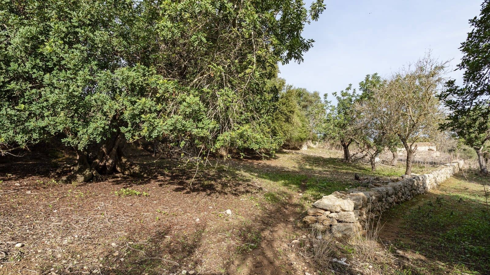 1 bedroom Finca/Country House for sale in Ullaro - € 235,000 (Ref: 9523109)