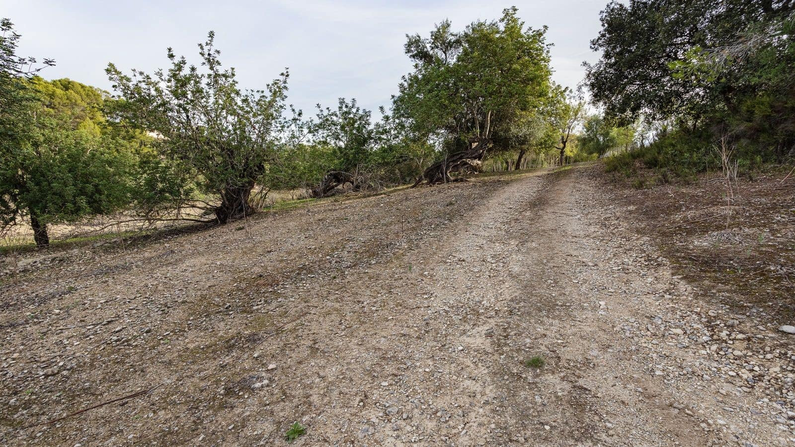 1 bedroom Finca/Country House for sale in Ullaro - € 235,000 (Ref: 9523109)