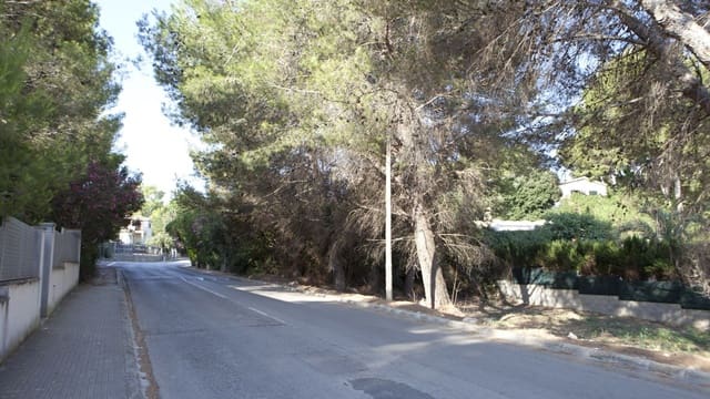 Byggegrund til salg i Mal Pas-Bon Aire, Alcúdia - € 159.000 (Ref: 9523110)