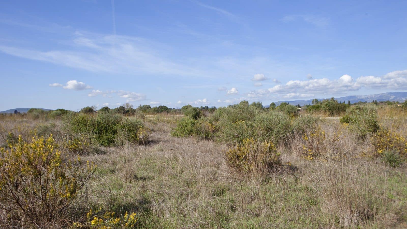 Mark till salu i Sencelles - 249 000 € (Ref: 9523120)