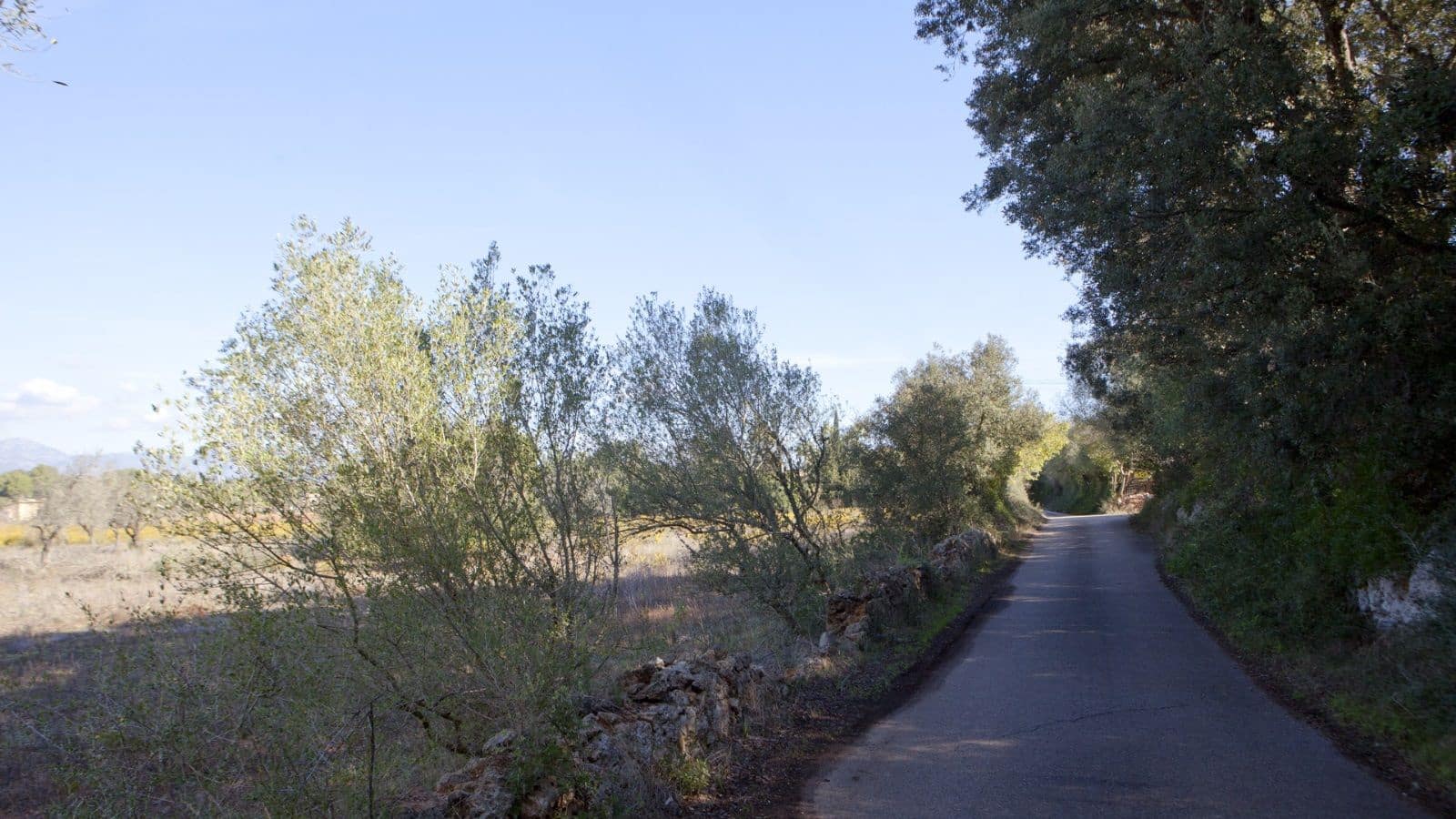 Mark till salu i Sencelles - 249 000 € (Ref: 9523120)