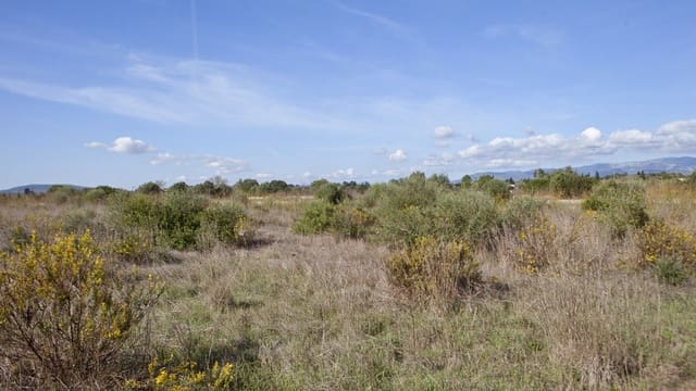 Mark till salu i Sencelles - 249 000 € (Ref: 9523120)