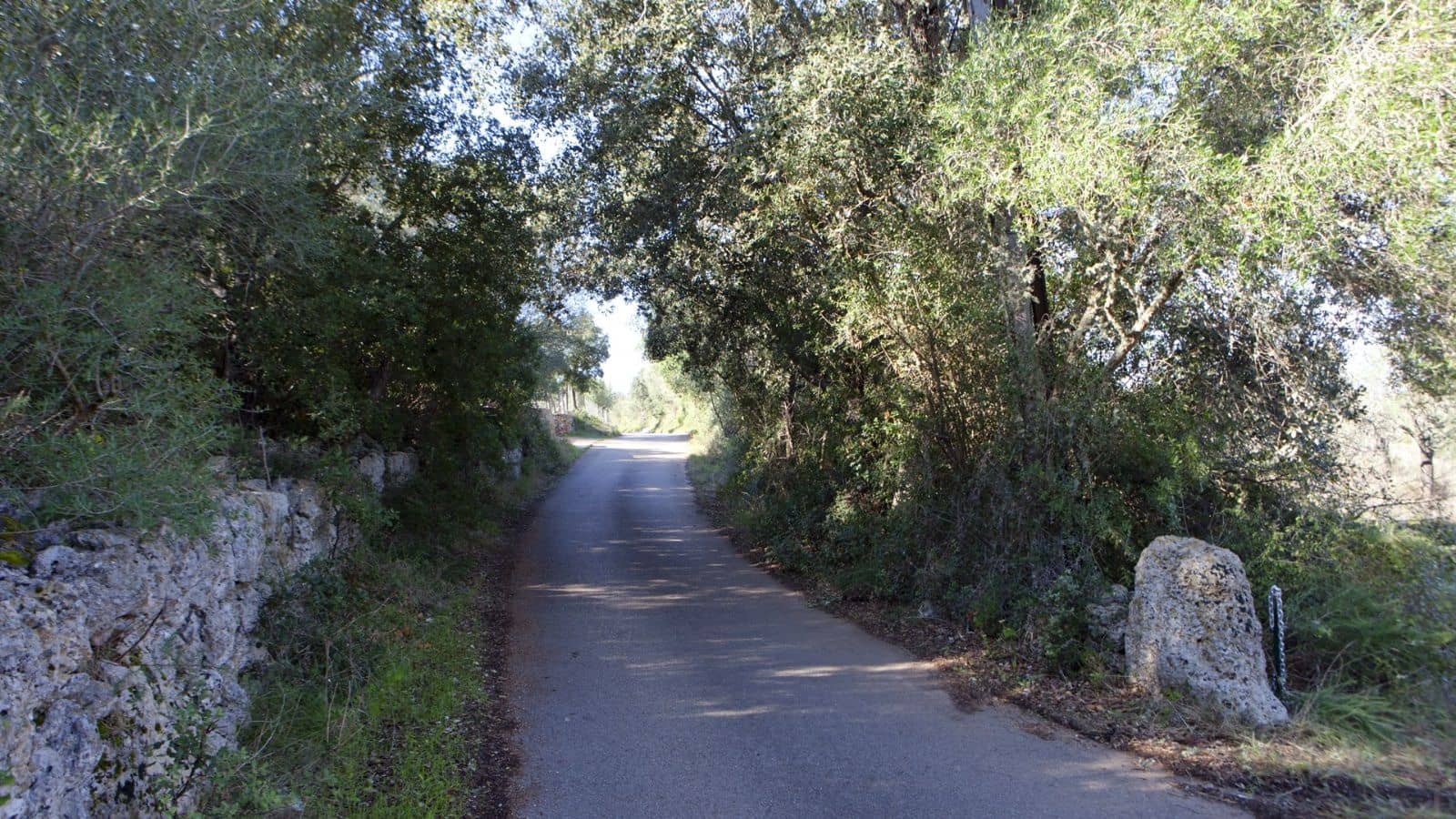 Mark till salu i Sencelles - 249 000 € (Ref: 9523120)