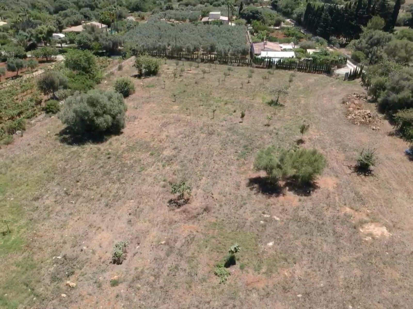 Ubebygd land til salgs i Pollensa / Pollenca - € 650 000 (Ref: 9523124)