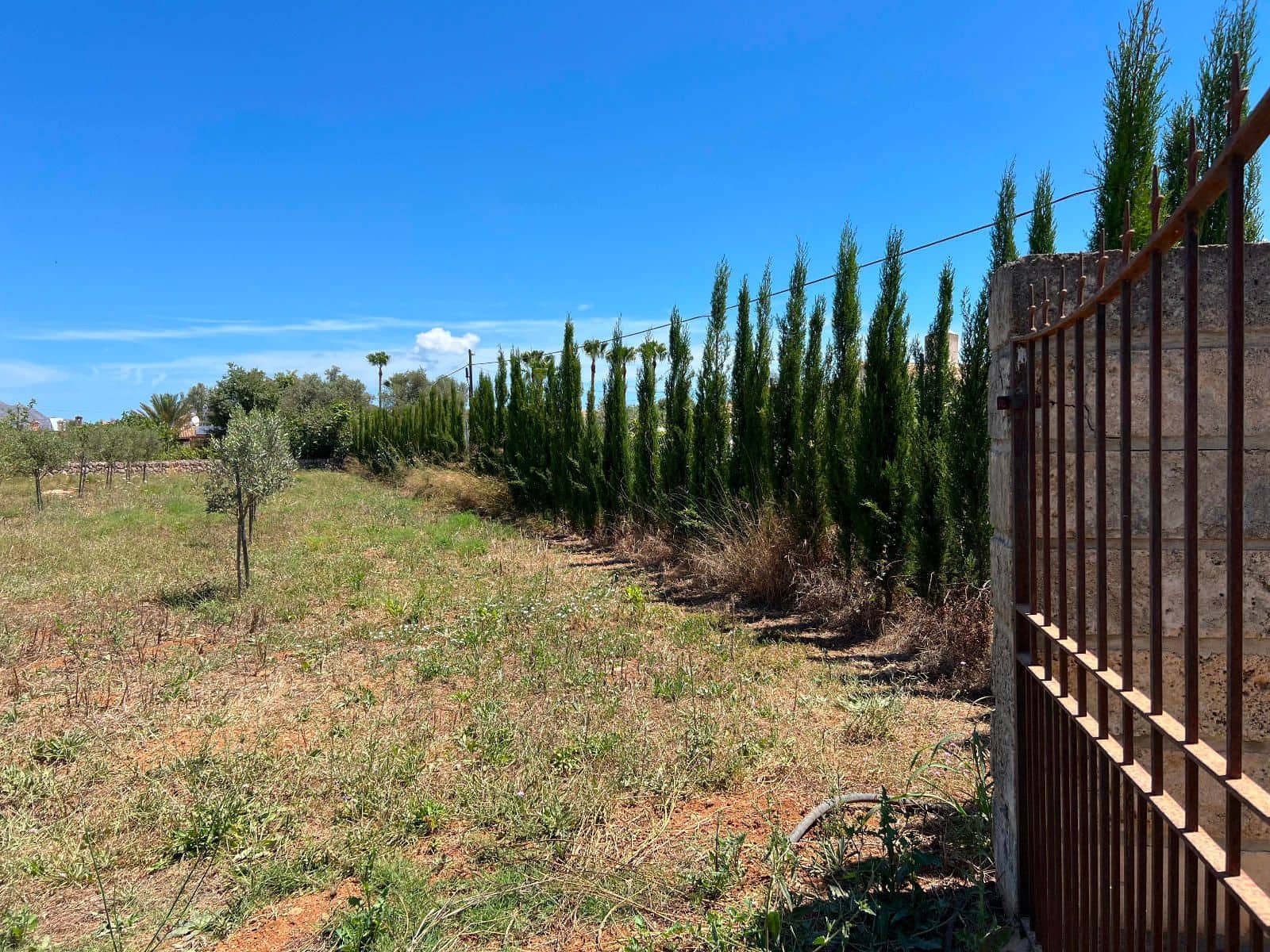 Ubebygd land til salgs i Pollensa / Pollenca - € 650 000 (Ref: 9523124)