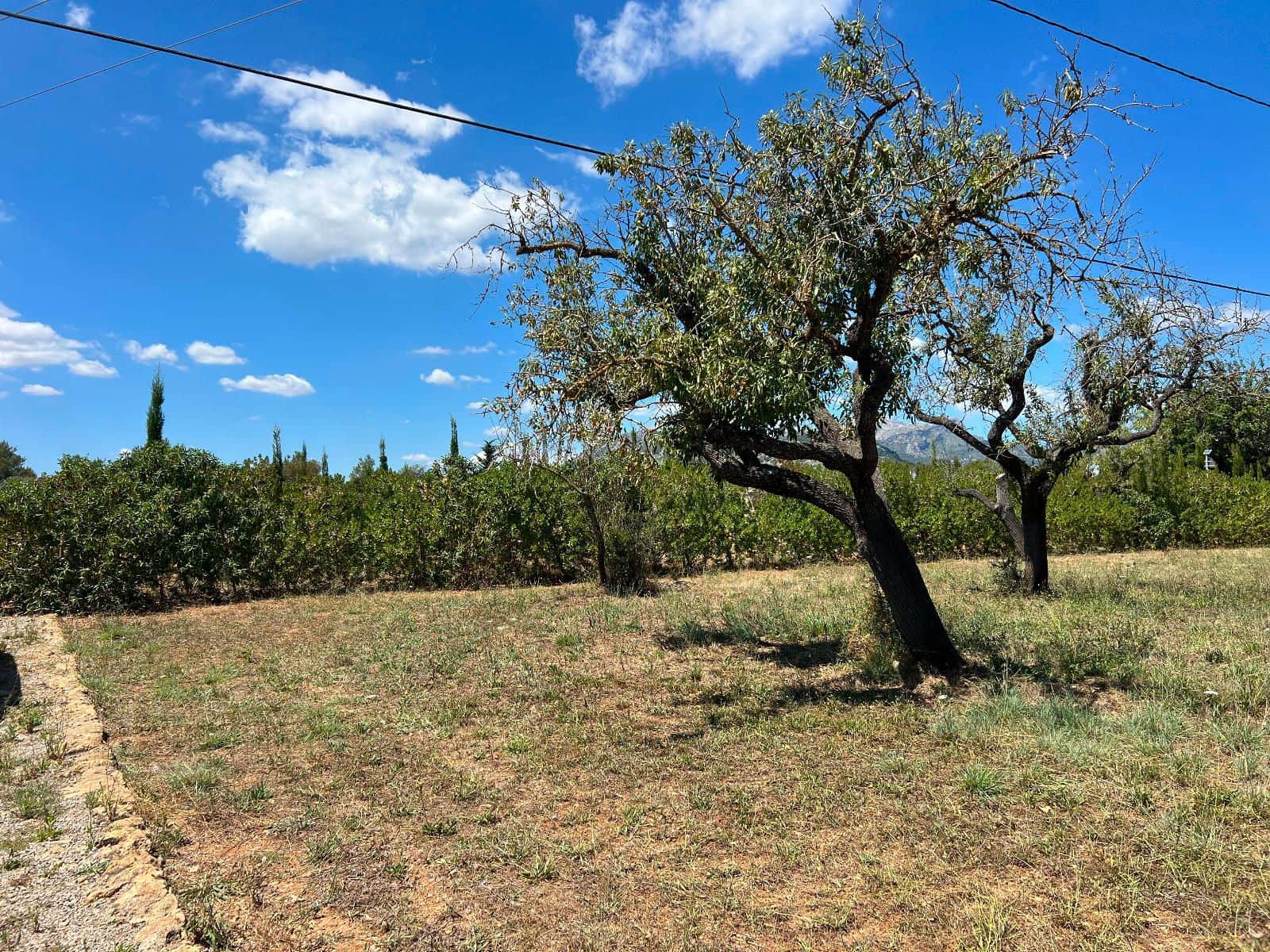 Ubebygd land til salgs i Pollensa / Pollenca - € 650 000 (Ref: 9523124)