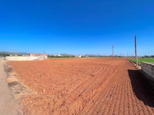 Grond te koop in Sa Pobla - € 215.000 (Ref: 9523130)