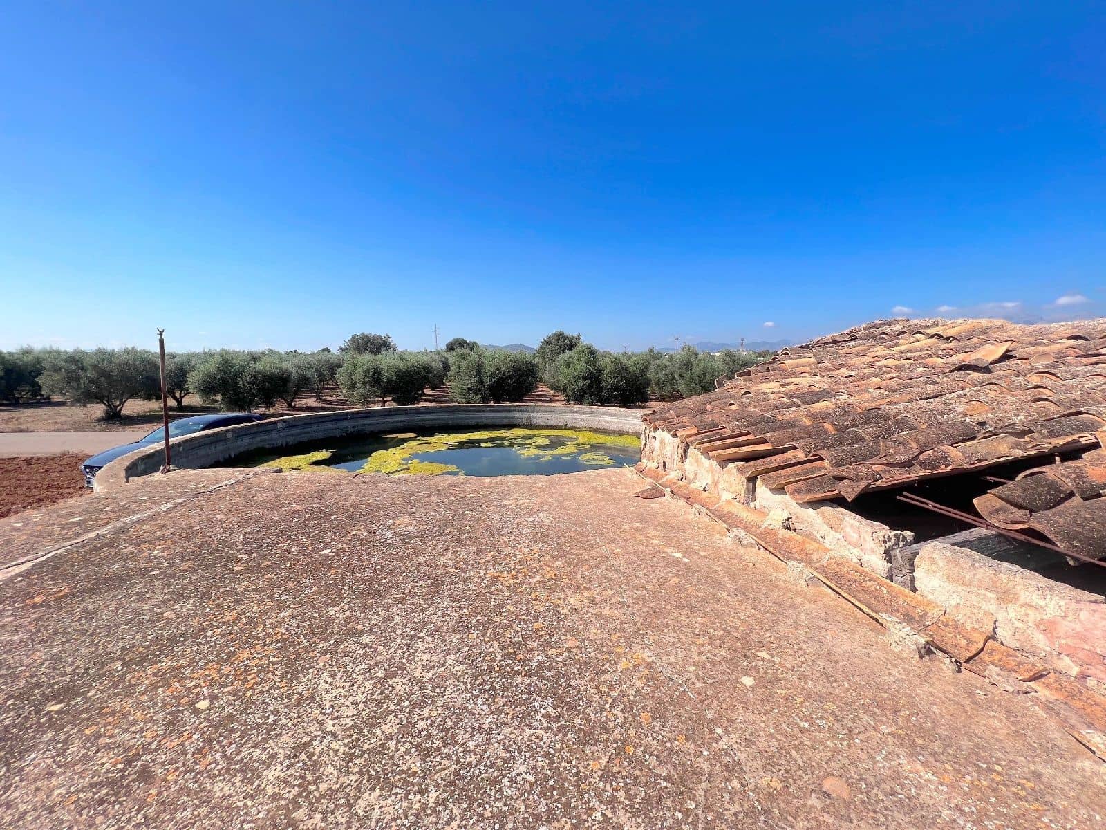 Grond te koop in Sa Pobla - € 215.000 (Ref: 9523130)