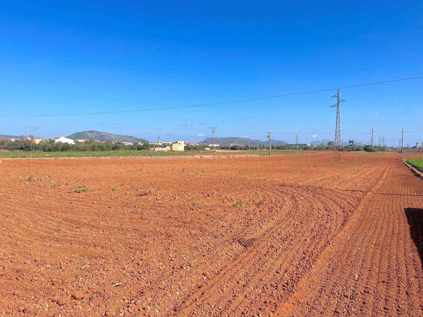 Grond te koop in Sa Pobla - € 215.000 (Ref: 9523130)