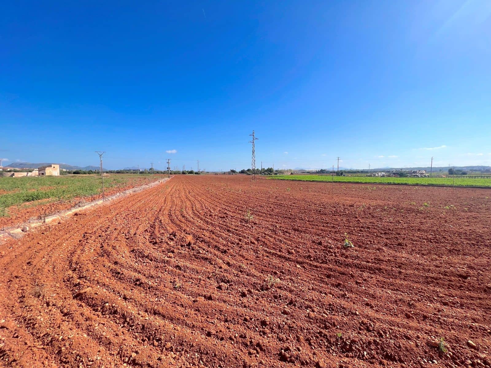 Grond te koop in Sa Pobla - € 215.000 (Ref: 9523130)