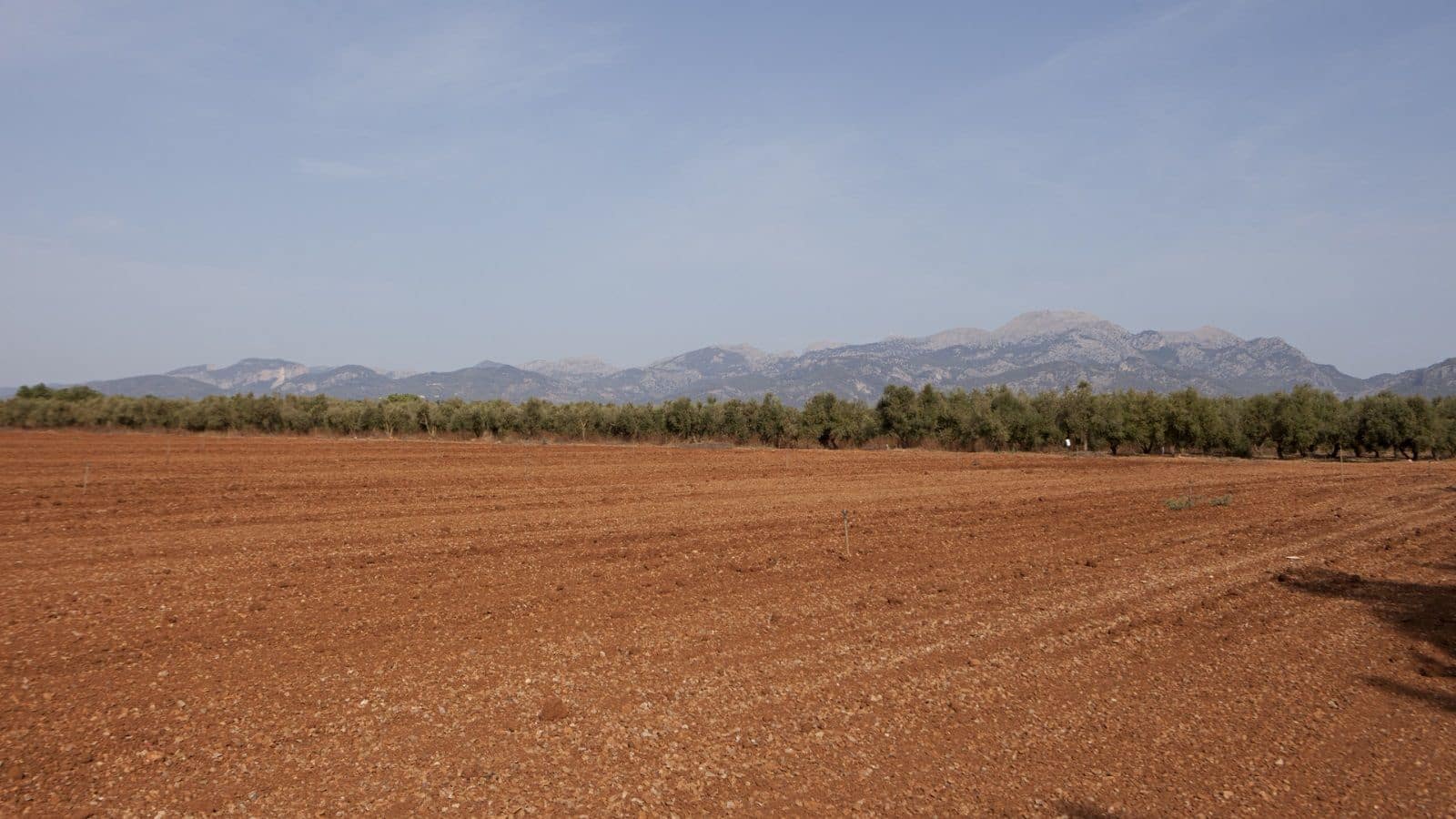 Finka/Dom wiejski na sprzedaż w Sa Pobla - 745 000 € (Ref: 9523131)